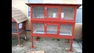 Homemade Quail Cage