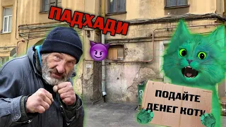 ОТКУДА ТУТ СТОЛЬКО ДЕНЕГ?! Roblox Homeless Simulator in Russia | КОТЁНОК ЗЕЛЁНКА