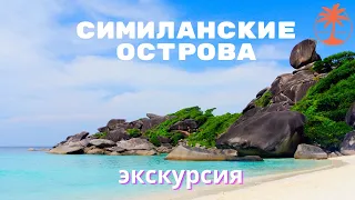 Симиланские острова | Обзор экскурсии с Tropic Tours