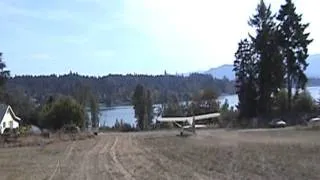 Stinson 108-3 Flies Through Trees on Takeoff.wmv