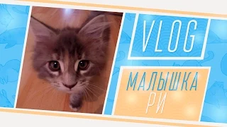 VLOG: Малышка Ри ^_^