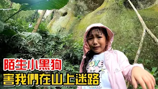 （挑戰）爬山遇到一隻小黑狗帶路，結果害我們在山上迷路，手機完全沒訊號，超可怕!石牛山。