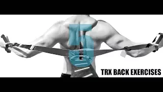 5 TRX BACK EXERCISES AND WHICH MUSCLES THEY TARGET