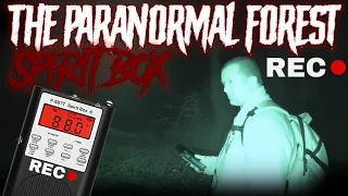 Spirit Box in A HAUNTED Forest Video