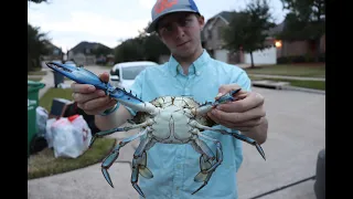 DEFORMED CRAB?! || Blue Crab Catch and Cook (Galveston, Tx)