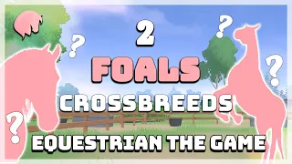 2 FOALS ARE BORN! |Equestrian The Game| Crossbreeding!