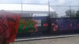 Street art Querétaro eh Hidalgo zack crew colectivo guajolote