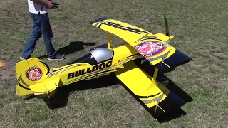 Pilot  Rc Pitts Challenger