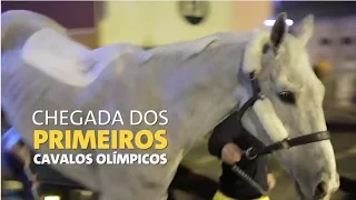 Chegada dos primeiros cavalos Olímpicos