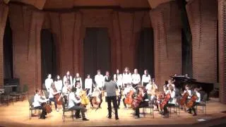 Cello Akademie Hamburg: Die Kinder des Monsieur Mathieu / Vois sur ton chemin