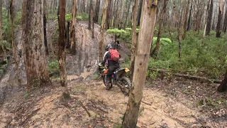 First 2024 ride, Slip N Slide Wombat State Forest