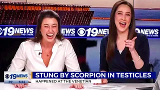 Best News Bloopers March 2024