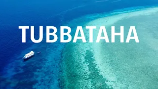 This is what the seas looked like 300 years ago - Tubbataha [4K]