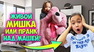 ПРАНК НАД МАШЕЙ / ОЖИВШИЙ ПЛЮШЕВЫЙ МИШКА / Видео Анютка малютка