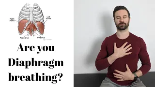 Diaphragmatic Breathing aka Belly breathing -a beginner's approach