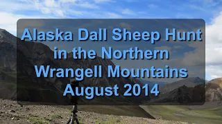 Alaska Dall Sheep Hunt in the Northern Wrangell Mountains   August, 2014