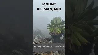 ⛰️  MOUNT KILIMANJARO ⛰️ HIGHEST IN AFRICA