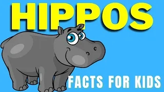 All About Hippos For Kids | Facts About Hippos | Hippopotamus