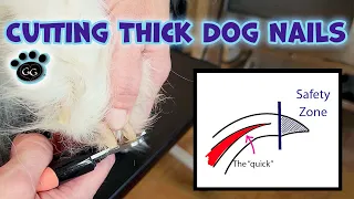 Cutting Thick Dog Nails (with Grinding!) - How to Clip / Cut Big Thick Dog Nails - Gina's Grooming