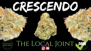 Crescendo Strain Review - The Local Joint - Cannapedia