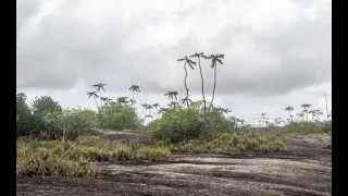 Viaje a La Orinoquía en Colombia, segunda parte 2