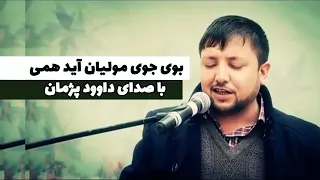 داوود پژمان | بوی جوی مولیان آید همی | Boye Joye Moliyan Ayad Hami | Dawood Pazhman - Official