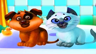 Kitty & Puppy Love  story #4 -  ЛЮБОВЬ КОТЕНКА и ЩЕНКА игровой мультик про питомцев