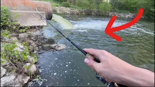 This SPILLWAY was LOADED with MONSTER FISH! (FEEDING FRENZY)