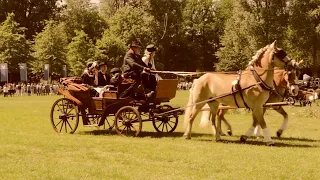 Pferdekutschen auf der Kutschenwallfahrt Telgte 2017