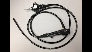 Endoscope Anatomy