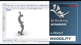 rhino tutorial- ornament 3d modeling