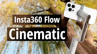 Insta360 Flow - Cinematic