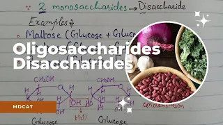 Oligosaccharides | Disaccharides | STB Bio XI | MDCAT