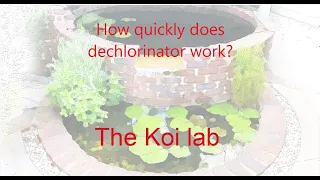 How quickly does dechlorinator work?