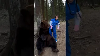 Маришку чуть не съел медведь 🐻    #shortsvideo #bear