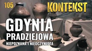 Gdynia pradziejowa - Marcin Szerle, Mateusz Cwaliński, Aleksandra Z. Fijałkowska | KONTEKST 104