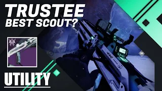 Trustee NEW Raid Scout Rifle - Interesting Option...