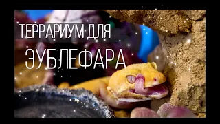 Как часто нужно убирать в террариуме у ящерицы? || Мой опыт работы с глиной Stone Desert.