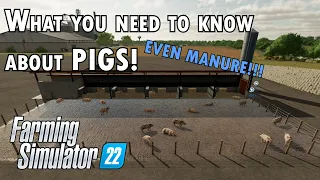 What you need to know about Pigs in Farming Simulator 22