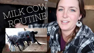 Milking cow routine and 100 chickens?! | VLOG