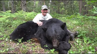 Quick Action on a GIANT Black Bear | Manitoba 2023