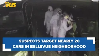 Bellevue's Lake Hills neighborhood residents on high alert after rash of car prowls