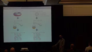 Earl Campbell: Small angle rotations  exotic magic states vs gate synthesis