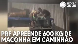 Polícia apreende quase 600 quilos de maconha em caminhão