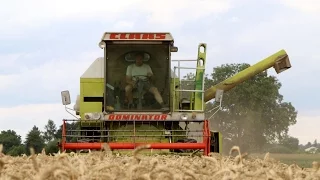 Weizenernte mit Claas Dominator 58 Spezial