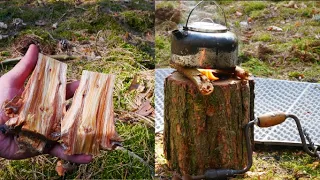 Ognisko szwedzkie, zupa z dzikim szczawiem i poszukiwania naturalnej rozpałki- sposób nr. 1