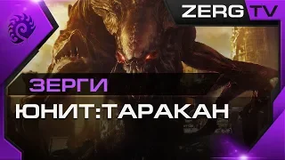 ★  [ ГАЙД ] по ЗЕРГАМ #1 - Юнит: Таракан - StarCraft 2 c ZERGTV ★