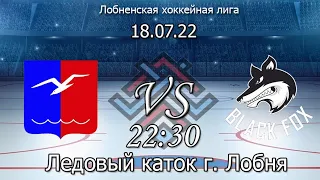 Хоккейный матч ХК ЧАЙКА ЛОБНЯ VS ХК BLACK FOX ЛОБНЯ | ЛОБНЕНСКАЯ ХОККЕЙНАЯ ЛИГА | ТУРНИР ЧЕТЫРЁХ