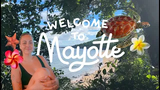 first week in mayotte ❀ swimming with turtles, hiking, kayaking, sleeping in the jungle