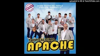 Tropicalisimo Apache - La Flaca